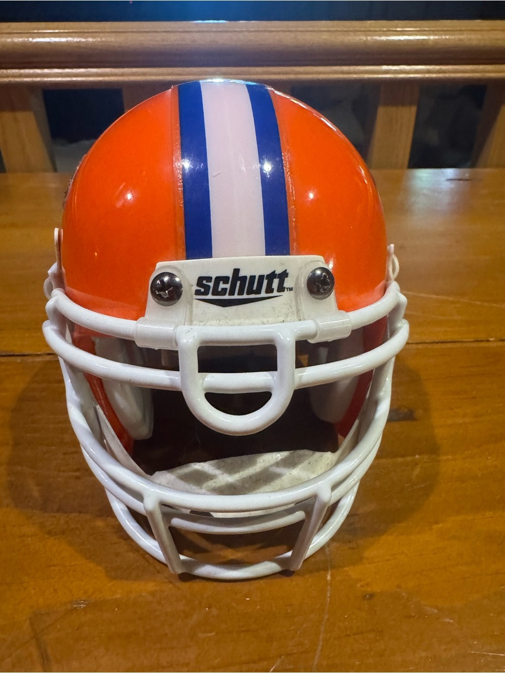 FLORIDA GATORS Mini Helmet - Picture 5 of 8